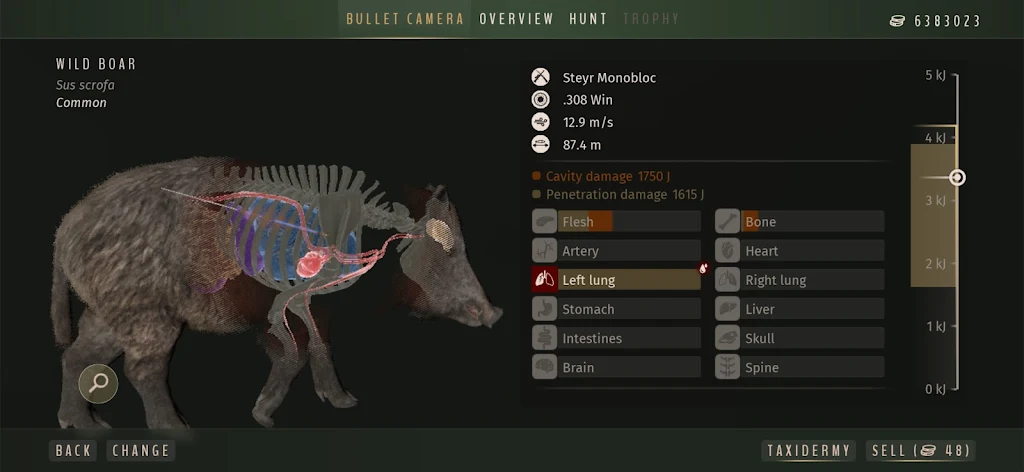 ����֮·����Ұŷ�ް�׿���ֻ���v1.0.12 ��Ѱ��ͼ