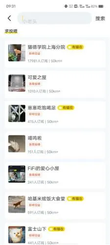 街猫最新手机版 街猫最新手机版