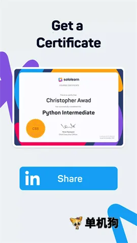 SoloLearn2026���°汾v4.0.5 �ٷ������ͼ