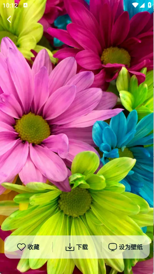 Ծ����ֽ��׿���ֻ���v1.6.0 �ٷ������ͼ