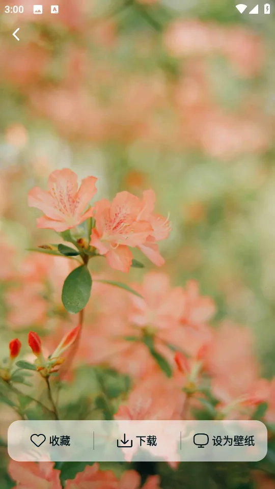 Ծ����ֽ��׿���ֻ���v1.6.0 �ٷ������ͼ