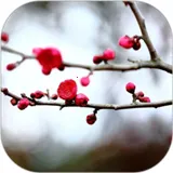 ÷�������ʼ�2026���ذ�װv1.5.4 ��Ѱ�