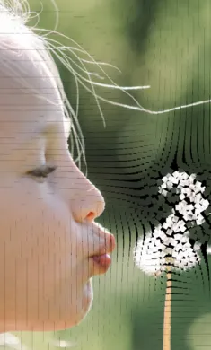 ��������ģ��(����ģ�ⴴ��)v0.981 �ٷ������ͼ