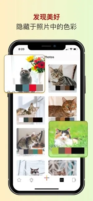 ɫ��ɫ������2026���ذ�װv2.5.38 ��׿���ͼ