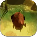 ���״���ɱ��������v2.1.4 �ٷ�����