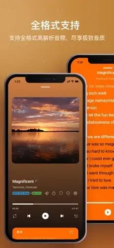 HiFier(���ֲ��Ź���)v1.0 ��׿���ͼ