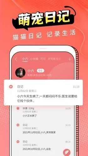 Cat Translation2026�ٷ�����