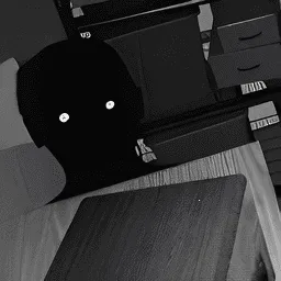 Ѱ��α����������v1.0.1 �ֻ���