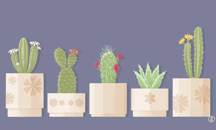 ����һ�㣺������2026���°汾v3.5.81 ��Ѱ��ͼ