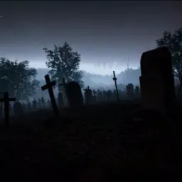 The Silent Neighbor�����ֻ���