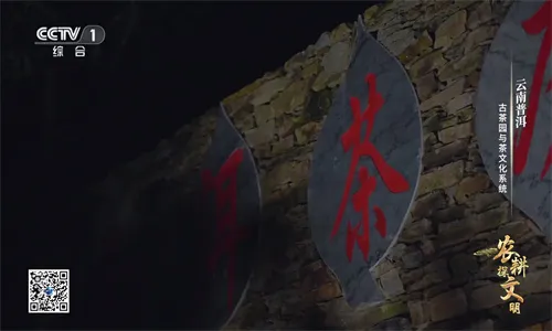 �ҵĵ���TV���°�v1.1.0 �ֻ����ͼ