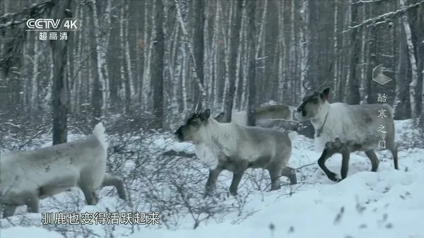 �ҵĵ���_v1.3.9.8.apkv1.1.0 �ֻ����ͼ