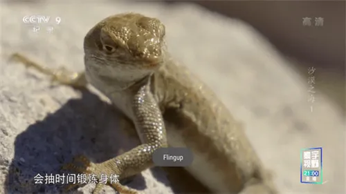 �ǻ���Ӻ����1.0.51v1.0.50 �ٷ������ͼ