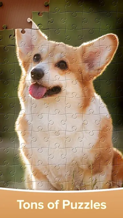 ƴͼ��Ϸ�󴳹�2026�ٷ�����v4.4.16 ��׿���ͼ