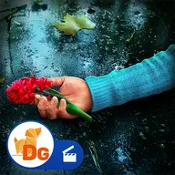 δ��֮�գ��ھż�����2026�ٷ�����