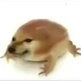 �ҵĵ������ư�2026���°汾v1.0 ��Ѱ�