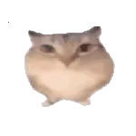 �ͰͲ�һ(δ�ἰ���Ĺ��ܵ�)v1.0 ��Ѱ�