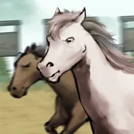 ����Ҳ������°汾3.8����