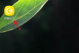 ���Ҹ���2026�ٷ�����