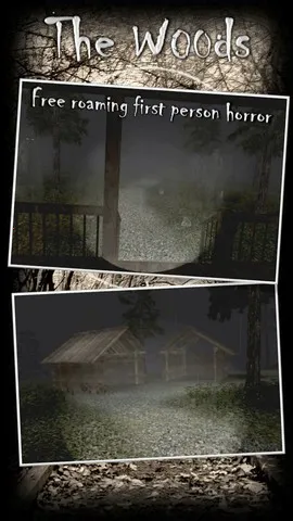 Forest2026���ذ�װv1.0 �ٷ������ͼ