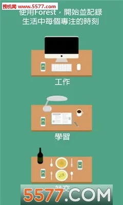 Forest2026���ذ�װv1.0 �ٷ������ͼ