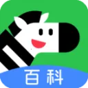 �����ٿ�2026���°汾