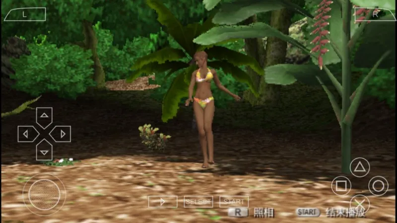 ����������(����Ů������Ϸ)v2021.11.24.12 �ٷ������ͼ