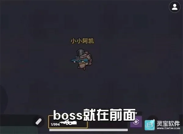 �޹����������޹���