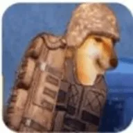 �޹�������������Σ�����ذ�װ