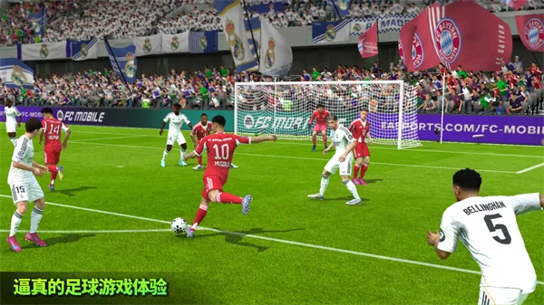 FIFA 222026�ٷ�����v3.2.113645 �ٷ������ͼ