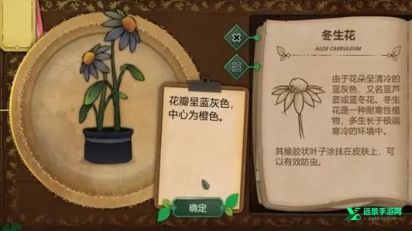 ����԰��(ֲ�������Ϸ)