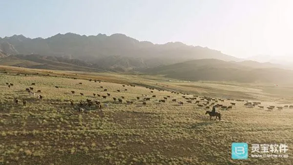 ȫ�ۺ�TV2026�ٷ�����