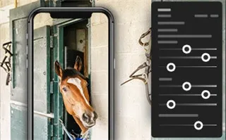 Lightroom(�ֻ���ͼ)