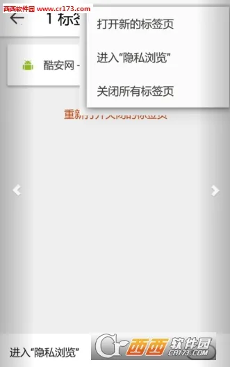 Silk�����(�ֻ������)v51.3.4.2704.81.10 �ֻ����ͼ