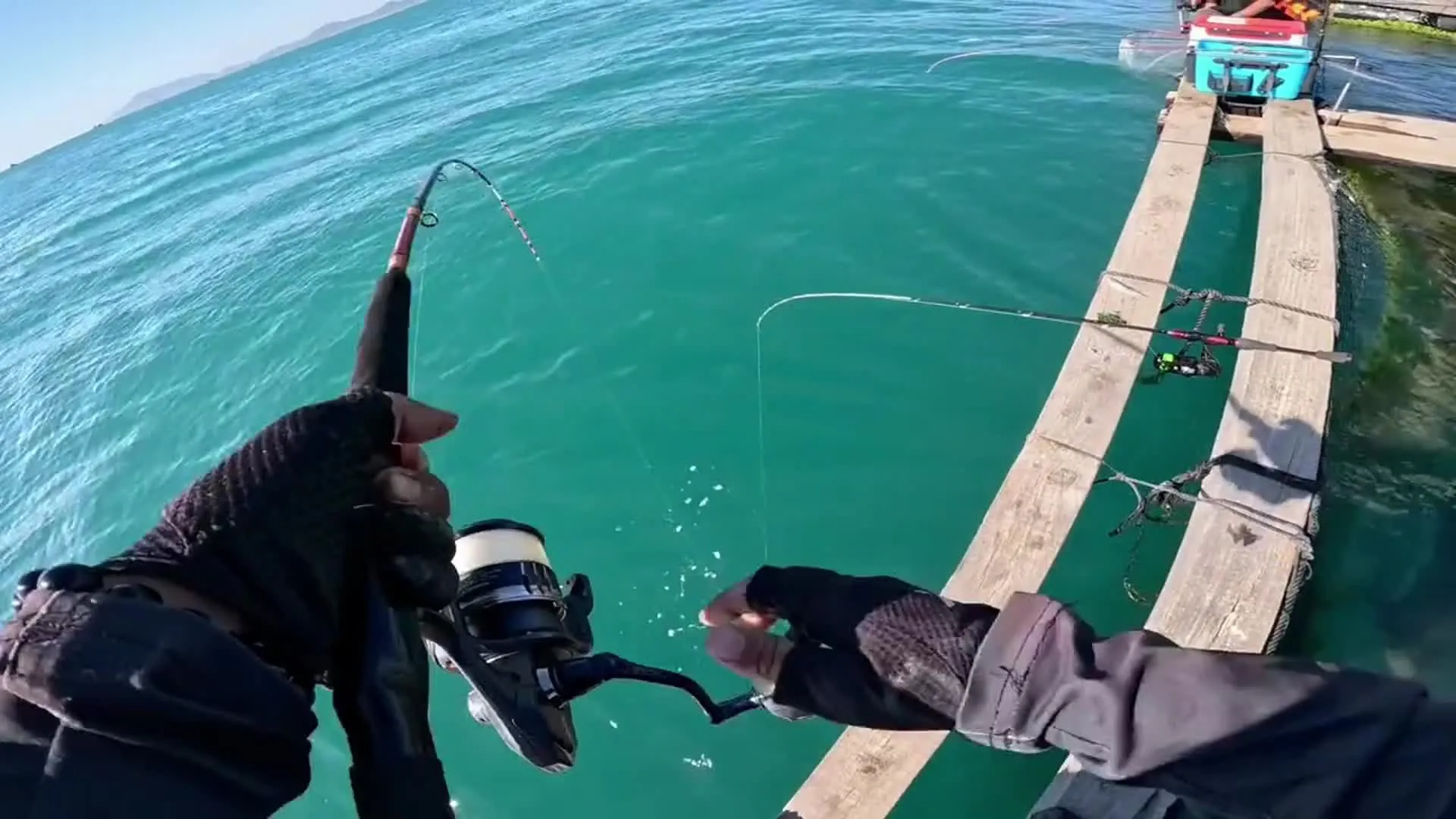 �����ʦ��С��Ϸ