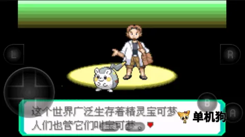 �����ξ����̱�ʯ(������ð������)