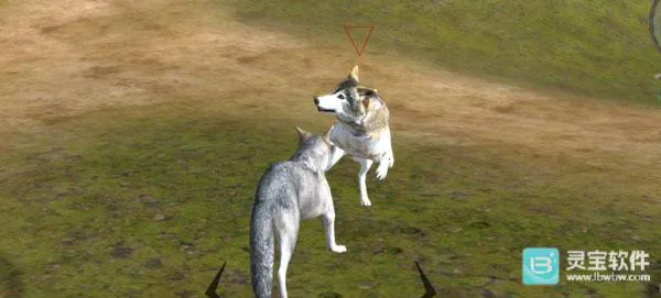 ��Ⱥģ����2026���ذ�װ