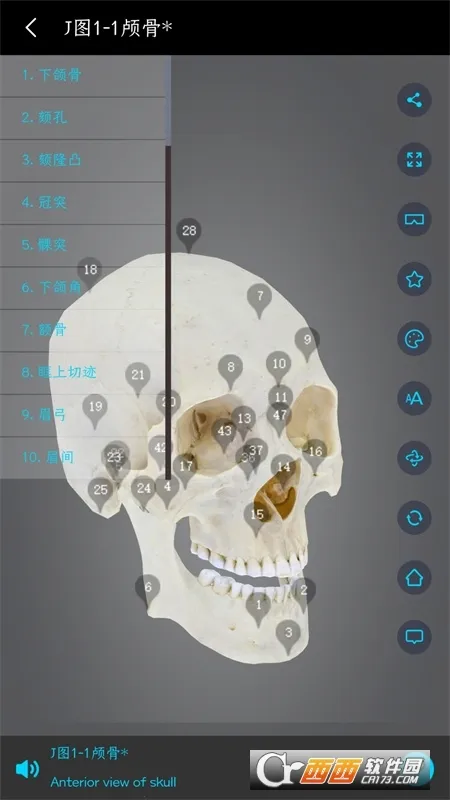 ҽά�Ƚ���(�������ѧϰ����)v3.3.20 �ֻ����ͼ