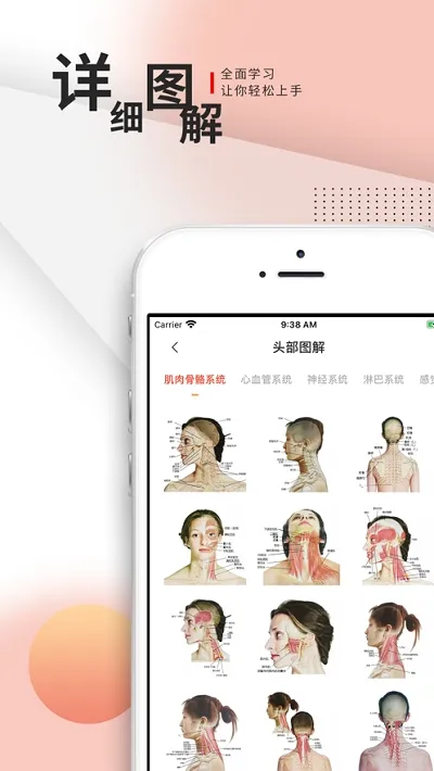 3Dbody���������ֻ���v1.25 �ٷ������ͼ