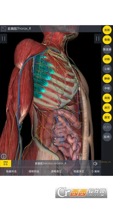 3Dbody���������ֻ���v1.25 �ٷ������ͼ