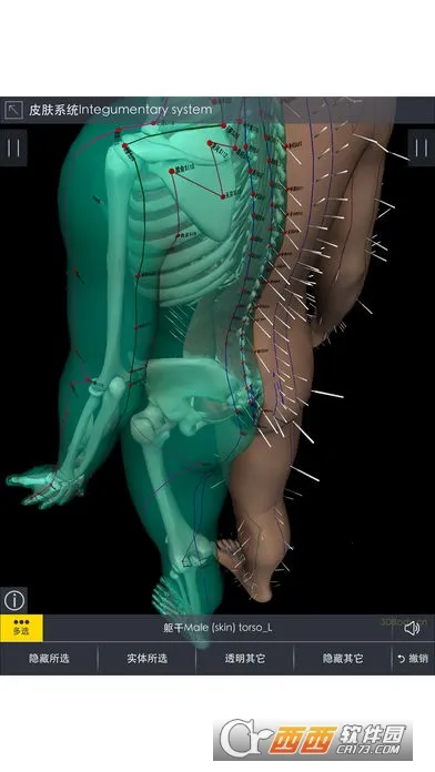 3Dbody���������ֻ���v1.25 �ٷ������ͼ