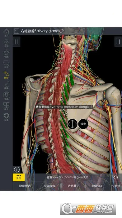 3Dbody���������ֻ���v1.25 �ٷ������ͼ