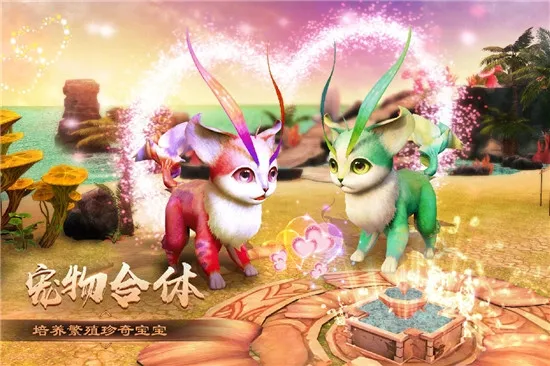 ����֮ŭ(���涯������)