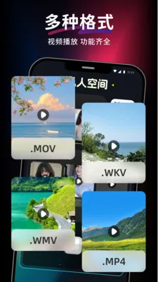 ������Ƶ��Ѳ�����(��Ƶ���Ź���)v1.0.0 �ֻ����ͼ