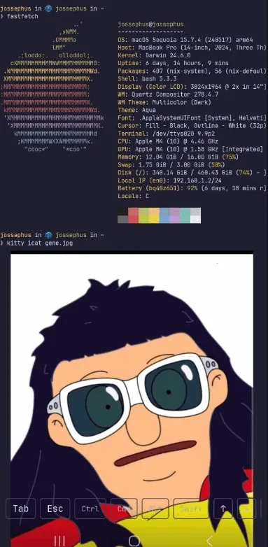 chuchu2026最新版本 chuchu2026最新版本