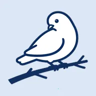 BB�ռ������Bվ(bbspace2026�ٷ�����