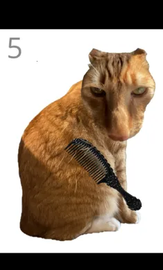 ��è��ë(è��ë������Ϸ)v1.0 ��׿���ͼ