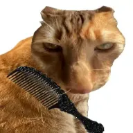 ��è��ë(è��ë������Ϸ)v1.0 ��׿��