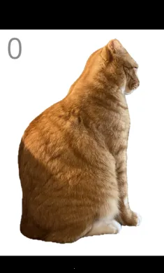 ��è��ë(è��ë������Ϸ)v1.0 ��׿���ͼ