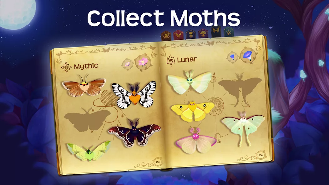 �ǹ����2026���ذ�װv2.244 ��Ѱ��ͼ